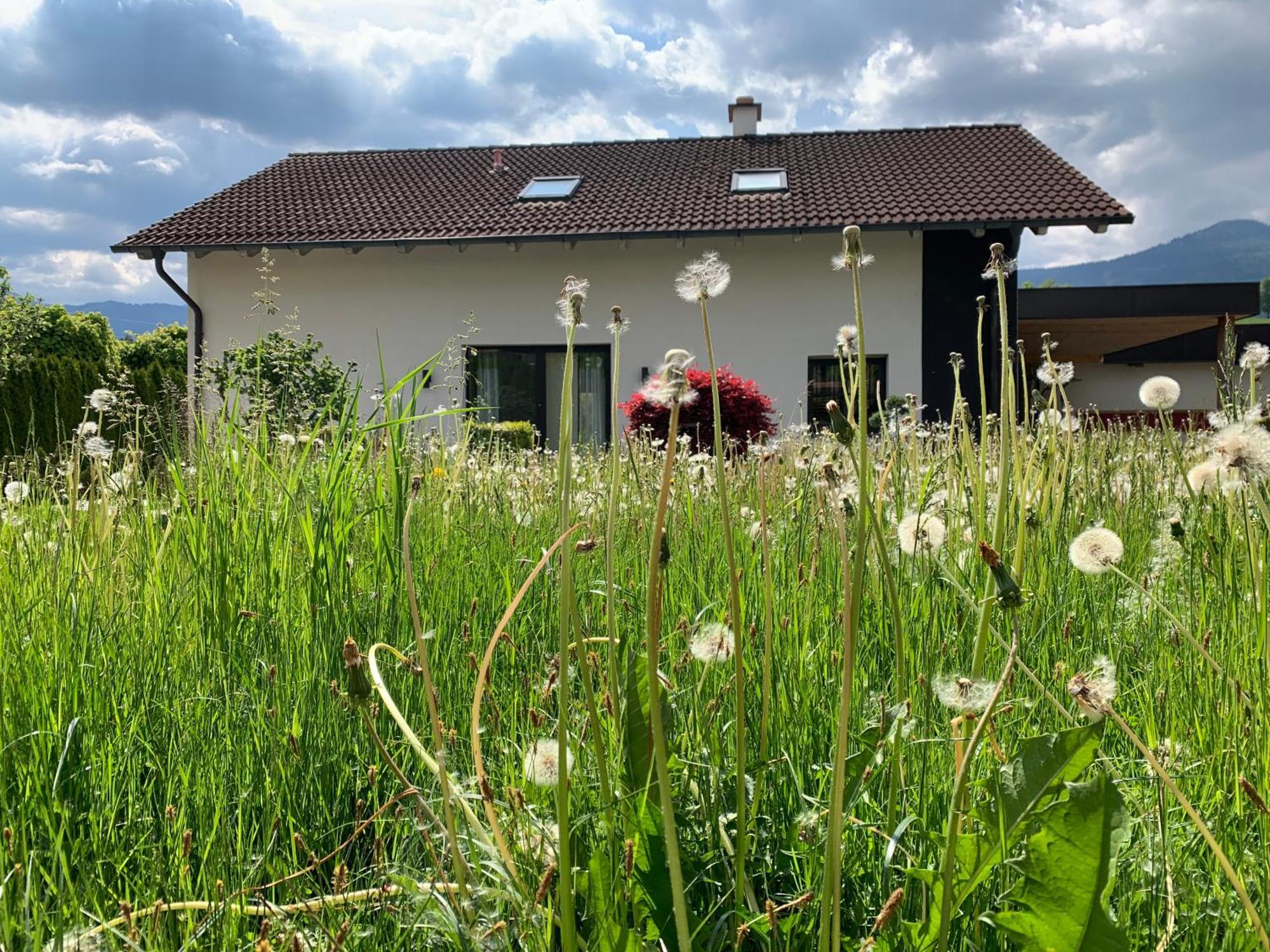 Appartement Kammblick Gröbming Kültér fotó